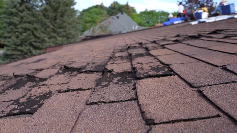 Best Skylights  in Loudonville, OH