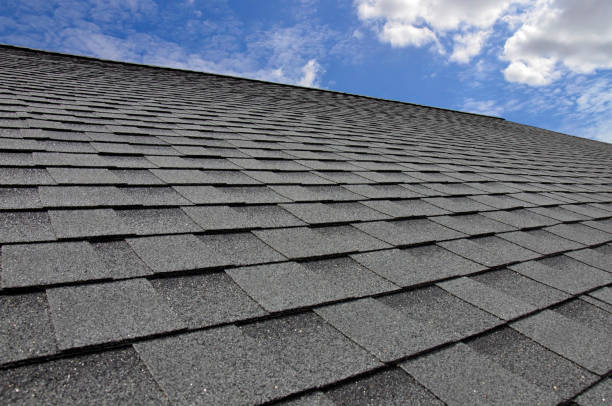Best Skylight Installation and Repair  in Loudonville, OH